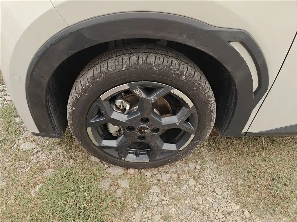 BYD Seagull 2025 Smart Drive Edition 305km Freedom Version фото 25