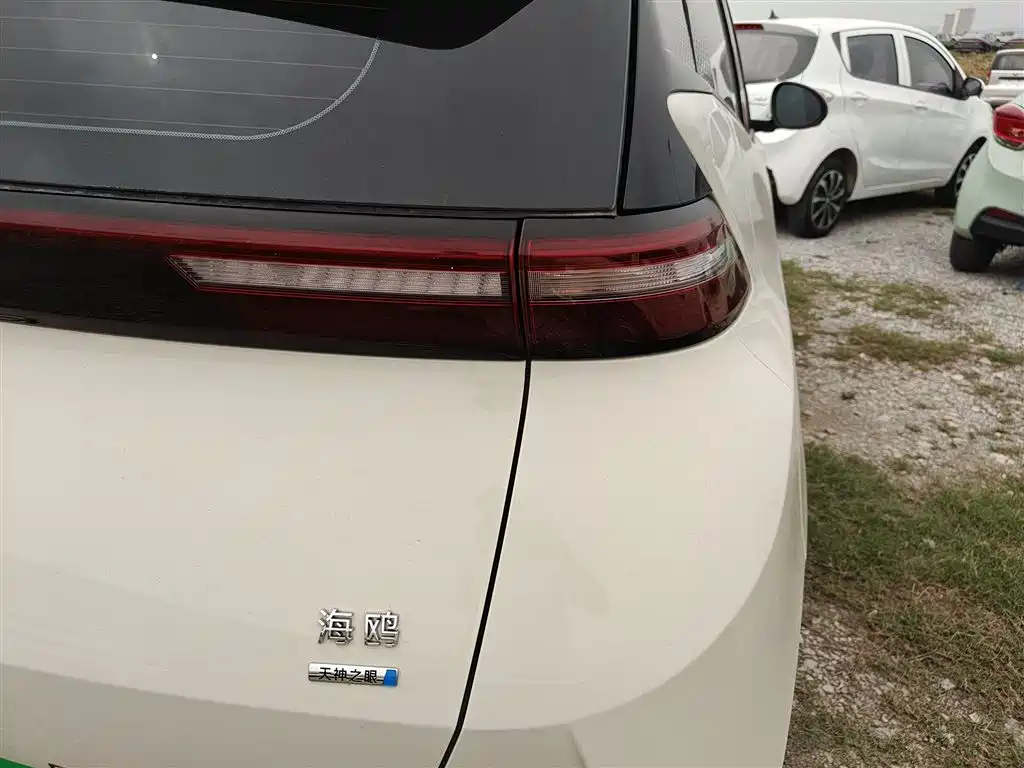 BYD Seagull 2025 Smart Drive Edition 305km Freedom Version фото 24