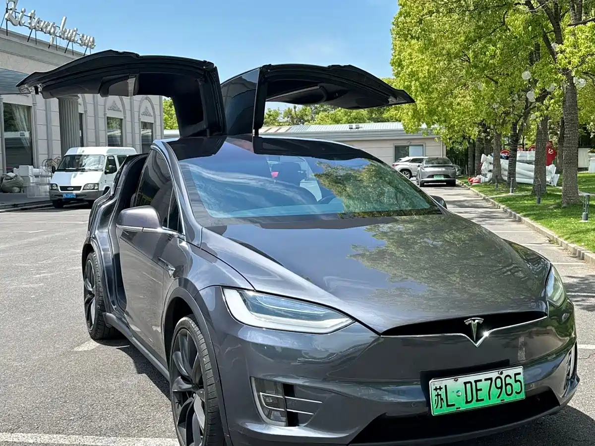 Tesla Model X 2020 Long Range Upgrade фото 2