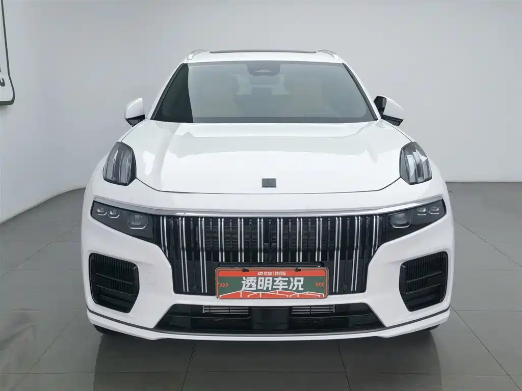 LYNK 09