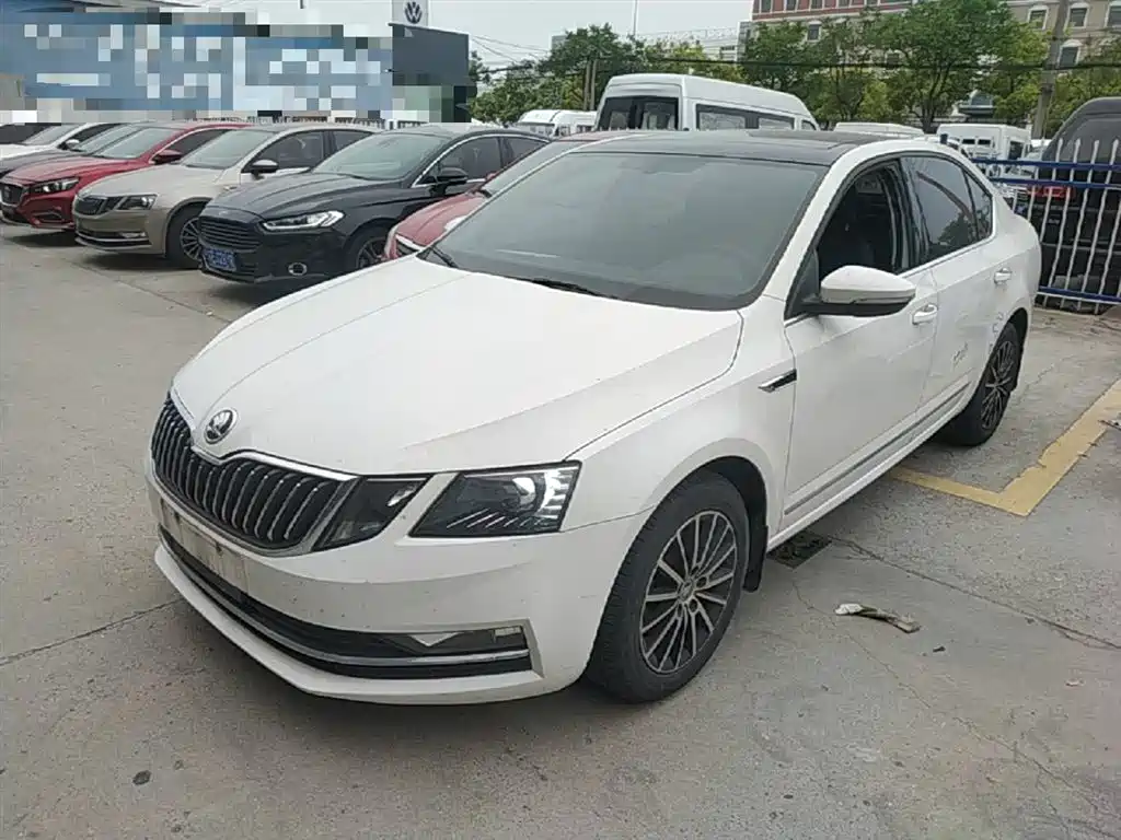 Škoda Octavia 2019 TSI230 DSG Luxury Edition фото 2