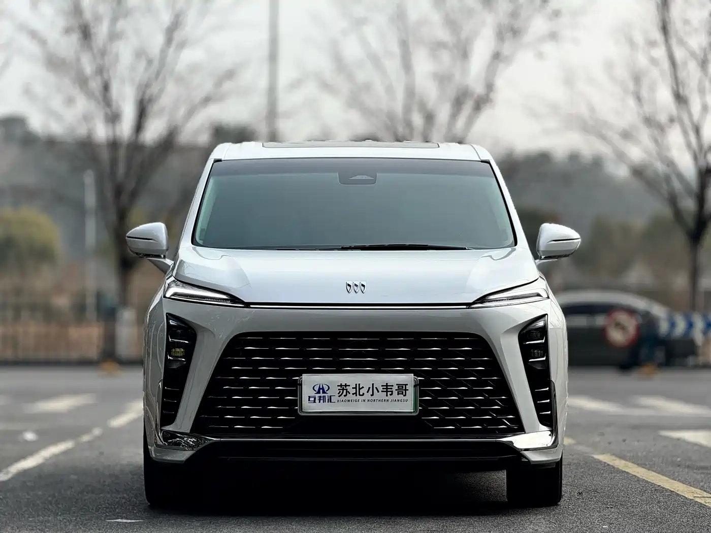 BUICK GL8 NEW ENERGY