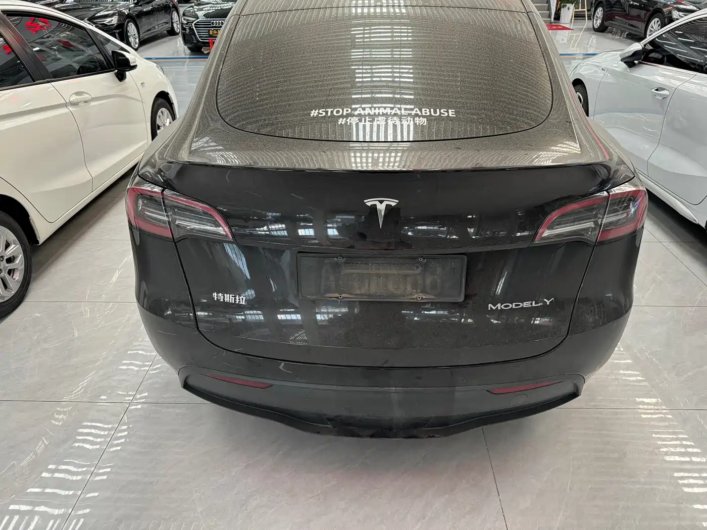 TESLA MODEL Y