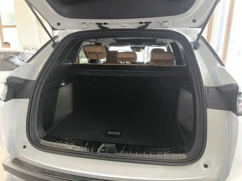 BYD Song L DM-i 2025 Model Smart Drive Edition 112km Leading Type фото 19