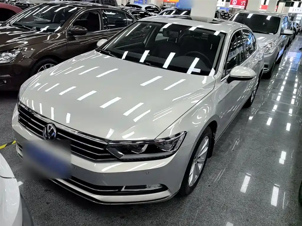 Volkswagen Magotan 2019 330TSI DSG Leading China V фото 2