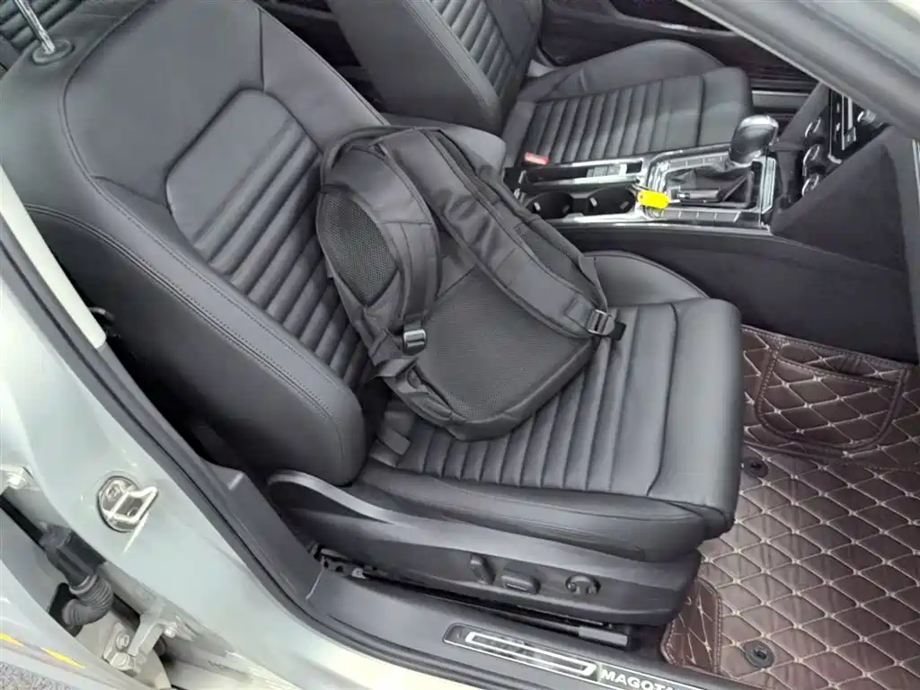 Volkswagen Magotan 2019 330TSI DSG Leading China V фото 25