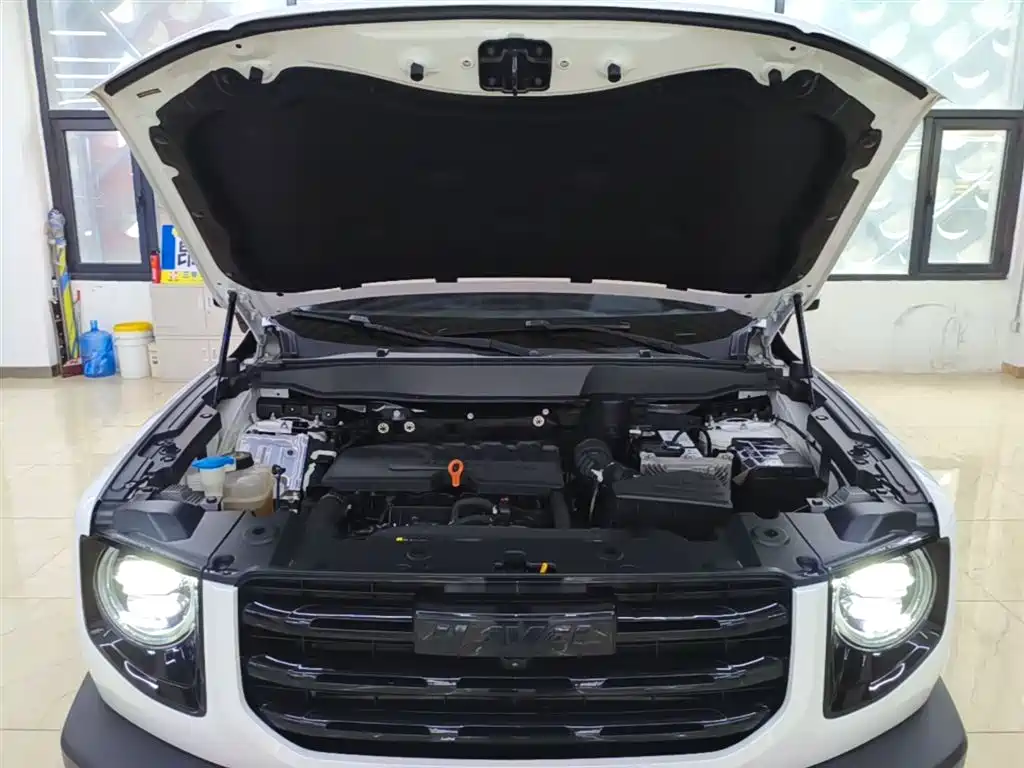 Haval Big Dog 2021 1.5T DCT 2WD Border Collie - Wangcai Edition фото 20