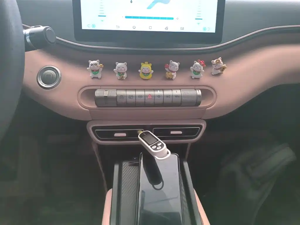 BYD Seagull 2023 Vitality Edition фото 14
