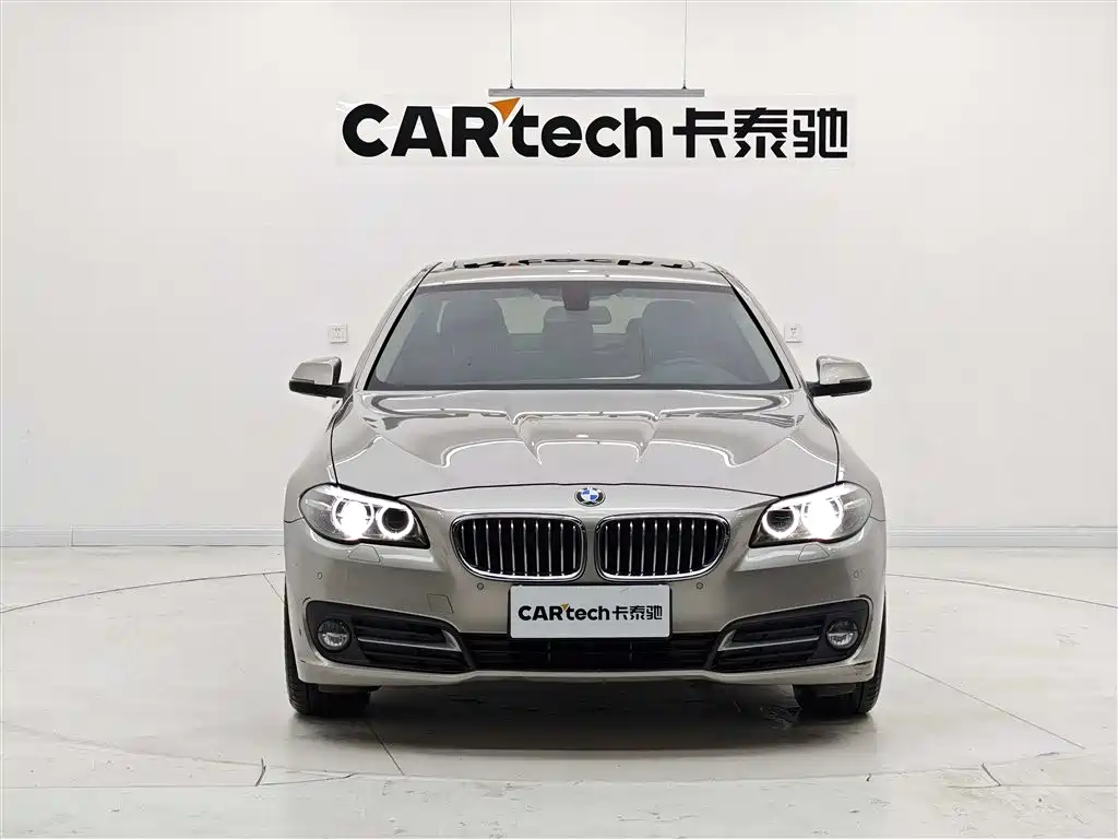 BMW 5 Series (Import) 2015 520i Elegance фото 2
