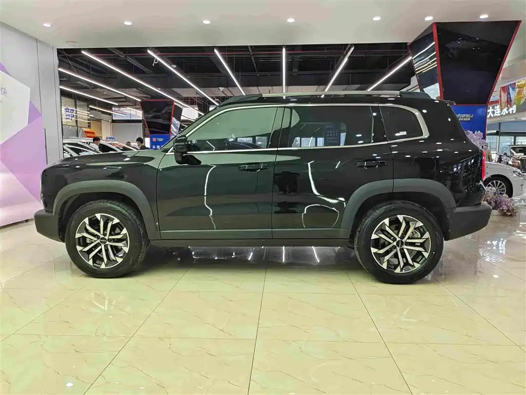 Haval Big Dog 2025 2024 1.5T DCT Border Collie Edition