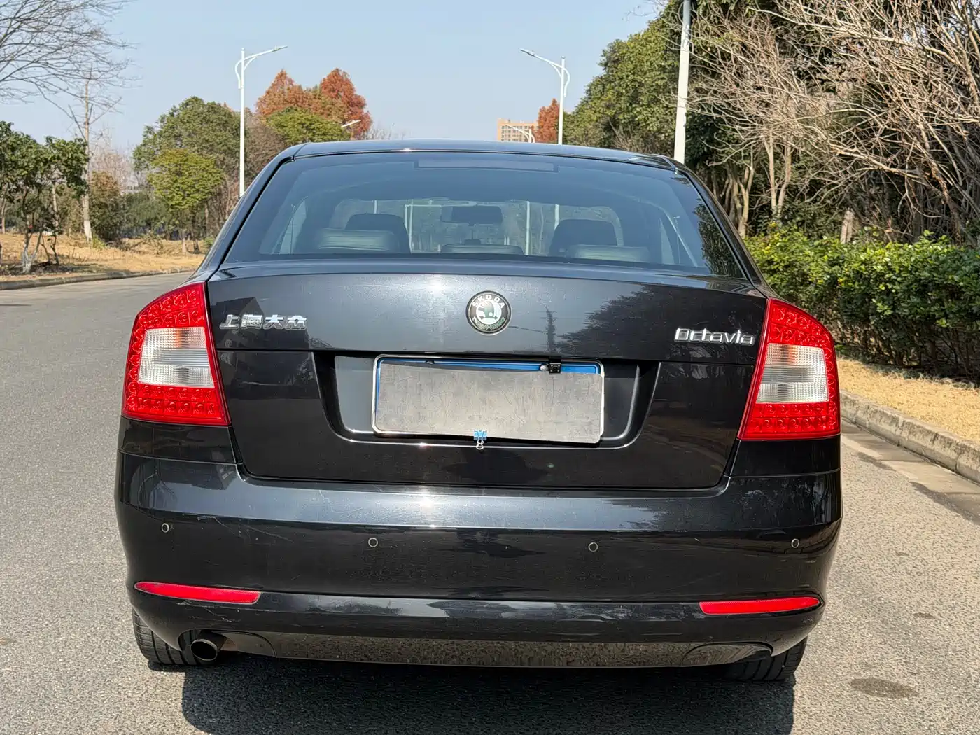 Škoda Octavia 2013 1.6L Automatic Elite Edition фото 5