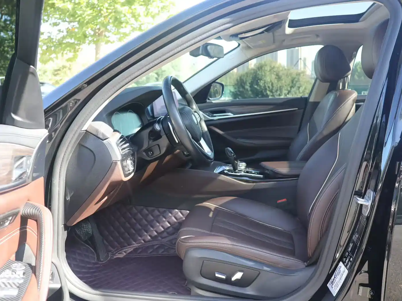 BMW 5 Series 2019 530Li xDrive Luxury Package фото 4