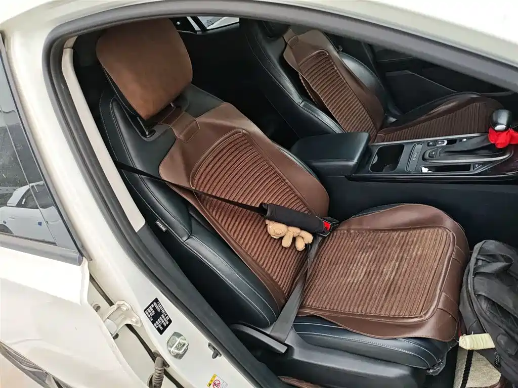 GAC Trumpchi Trumpchi GS4 2022 270T Auto Tech Edition фото 4