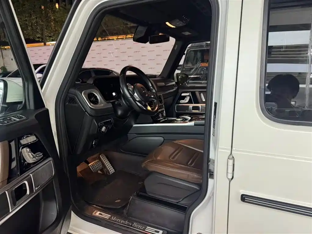 Mercedes-Benz G-Class 2019 G 500 фото 10