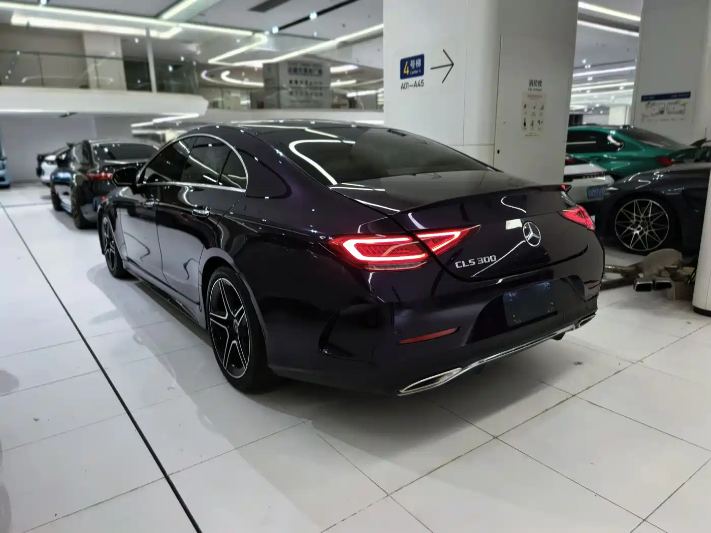 Mercedes-Benz CLS 2021 CLS 300 Luxury фото 6