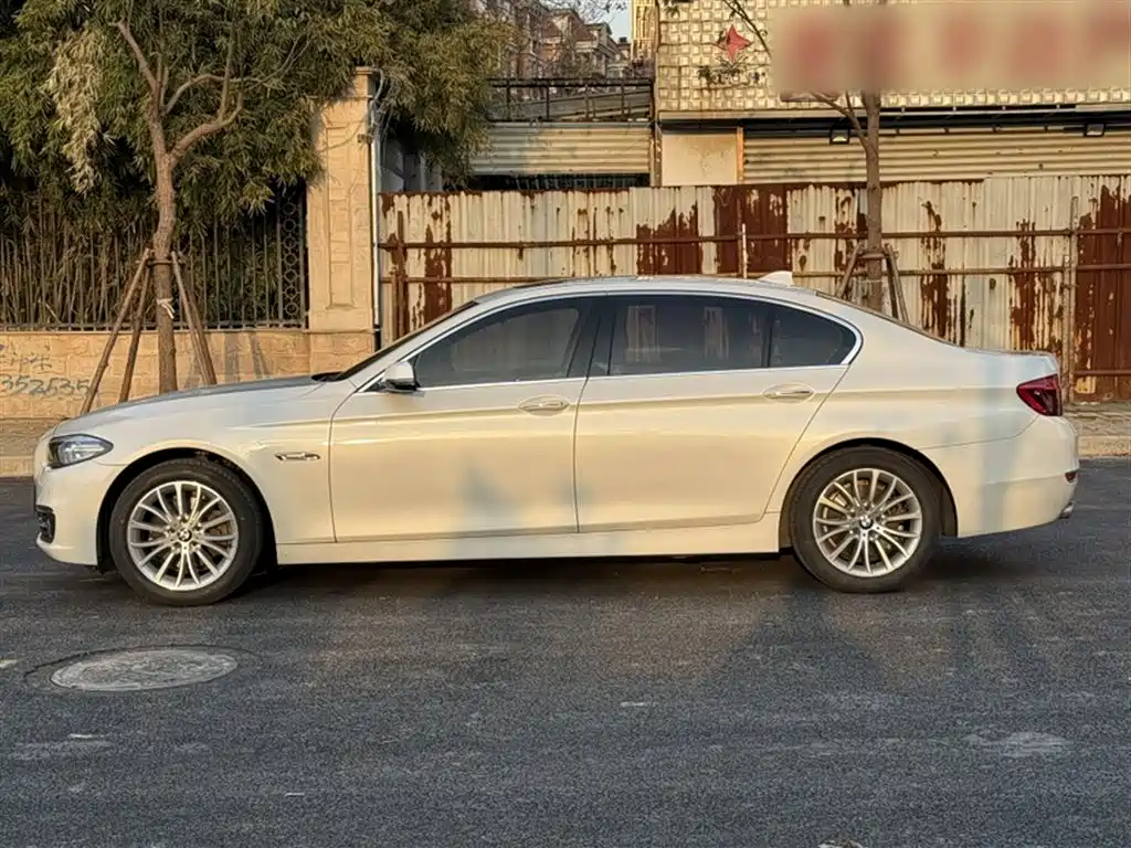 BMW 5 Series 2014 528Li Luxury Design Package фото 13