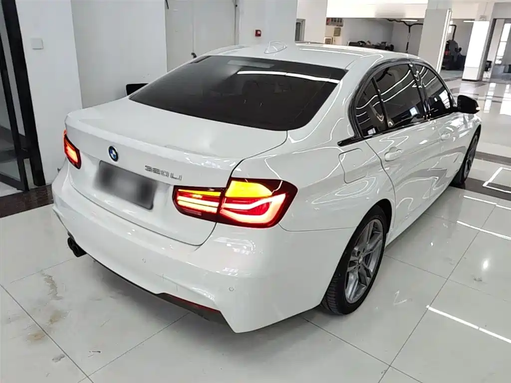 BMW 3 Series 2019 320Li M Sport Black Night Edition фото 7