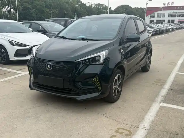 Changan Benben E-Star 2022 National Edition Colorful Limited (Fast Charging) LFP