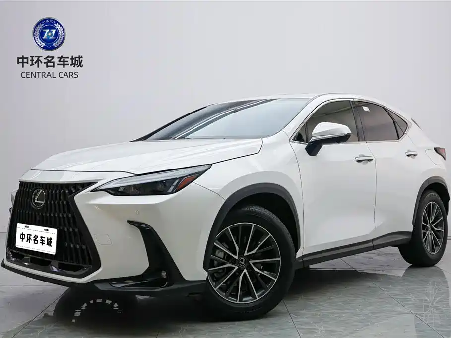 Lexus NX 2023 260 FWD Joy Creation Edition