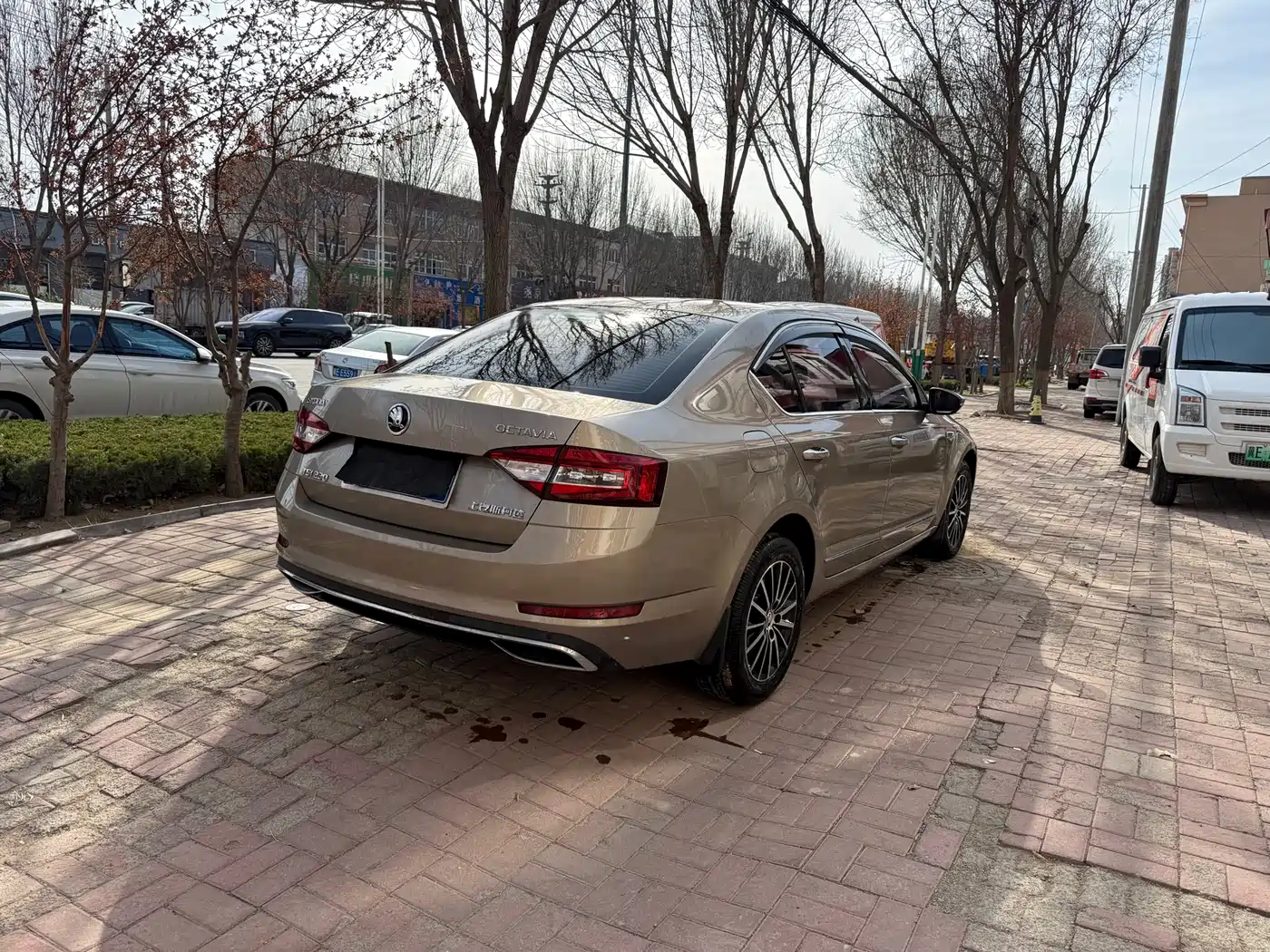 Škoda Octavia 2018 TSI230 DSG Luxury Edition фото 11