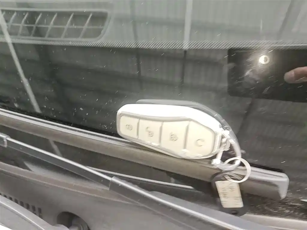 BYD Hai Bao 05 DM-i 2025 DM-i Smart Drive Edition 55KM Luxury фото 9
