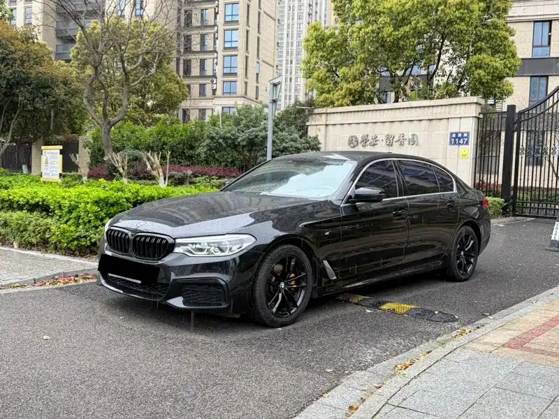 BMW 5 Series 2020 525Li M Sport Package фото 3