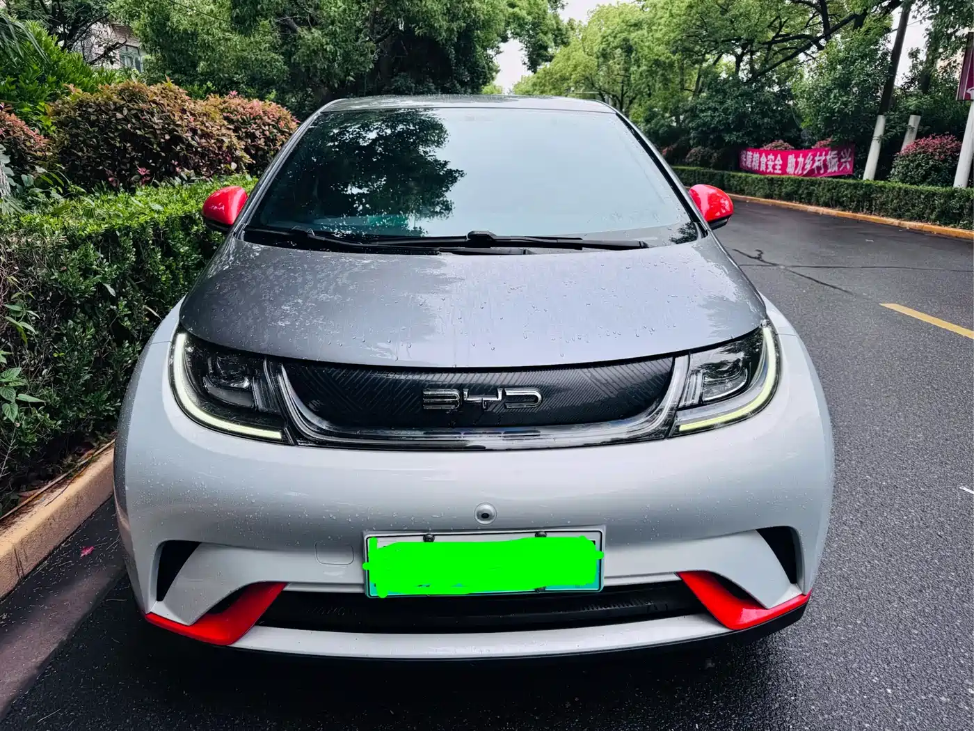 BYD Dolphin 2023 420km Freedom Edition фото 2