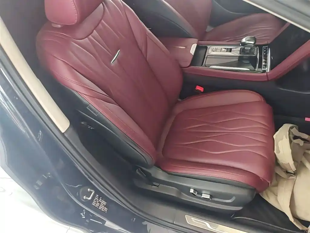 Hongqi H5 2024 2.0T Automatic Smart Connect Flag Leader Edition фото 25