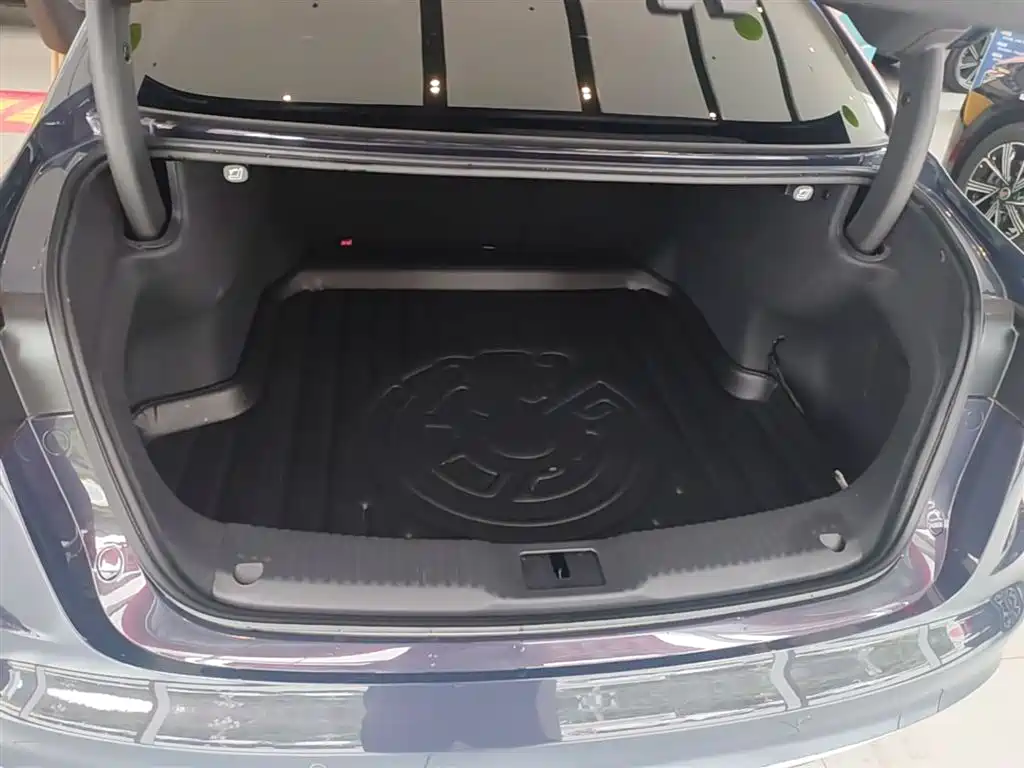 Hongqi H5 2024 2.0T Automatic Smart Connect Flag Leader Edition фото 19