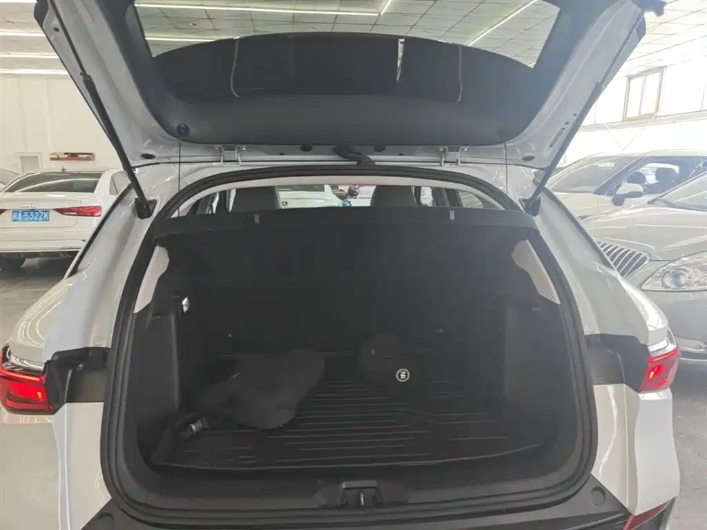 BYD Yuan PLUS 2024 Glory Edition 430KM Advanced фото 19
