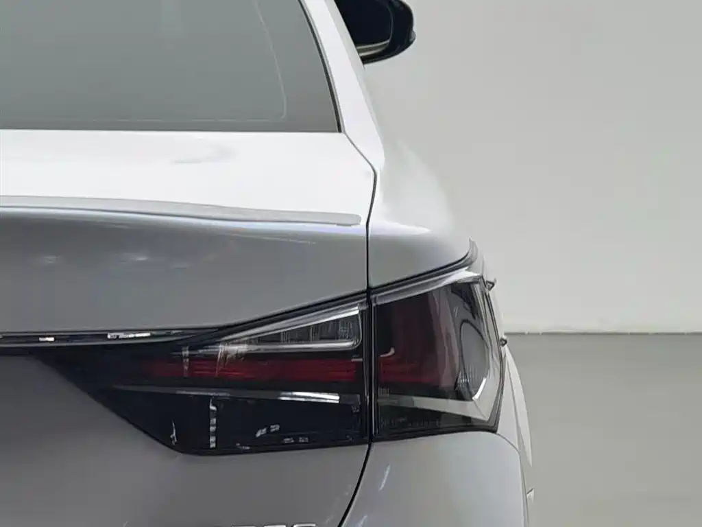 Lexus GS 2017 300 Leading фото 13