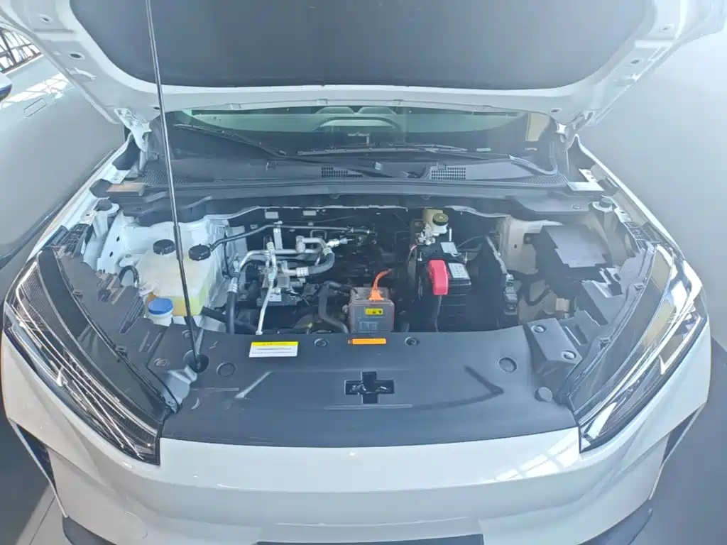 Фото 20 - Dongfeng Aeolus SKY EV01