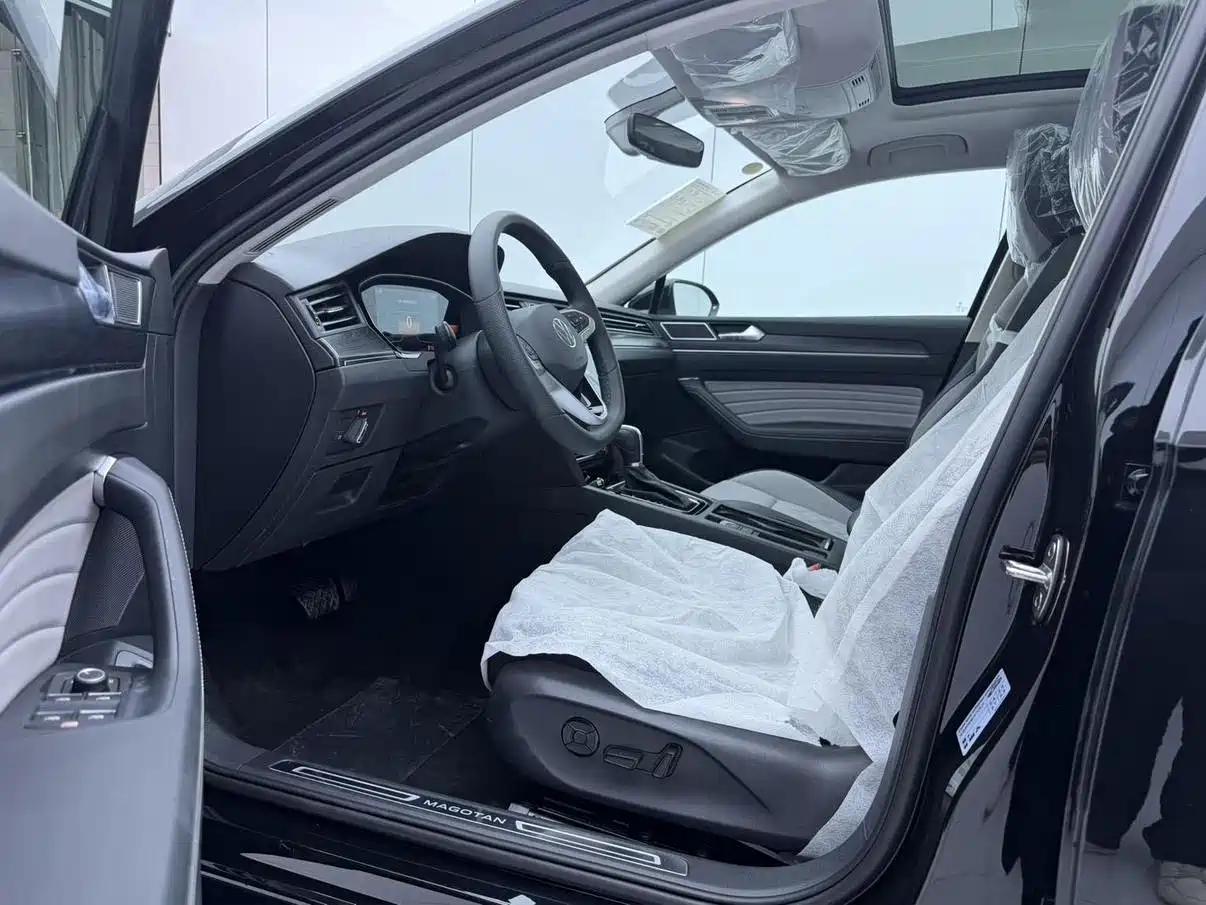Volkswagen Magotan 2025 2025 Model Public Edition 280TSI DSG Luxury
