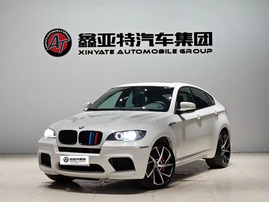 BMW X6 M 2010 X6 M фото 2