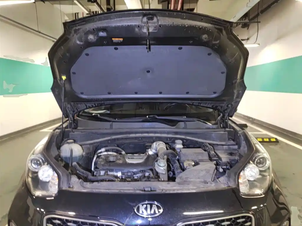 Kia KX5 2016 Model 1.6T Automatic 2WD DLX фото 11