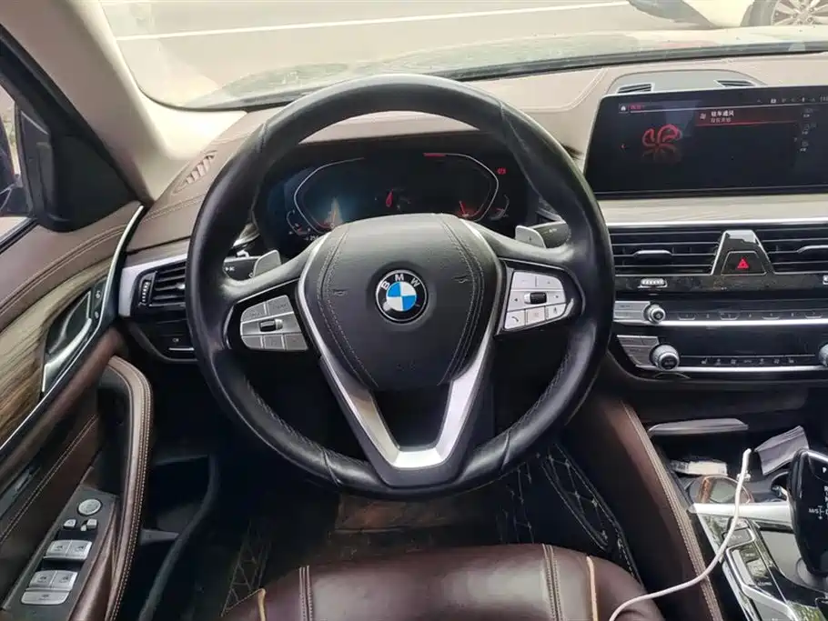 BMW 5 Series 2020 530Li Leading M Sport Package фото 15