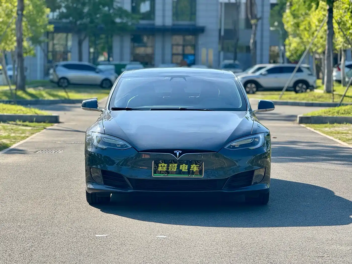 TESLA MODEL S