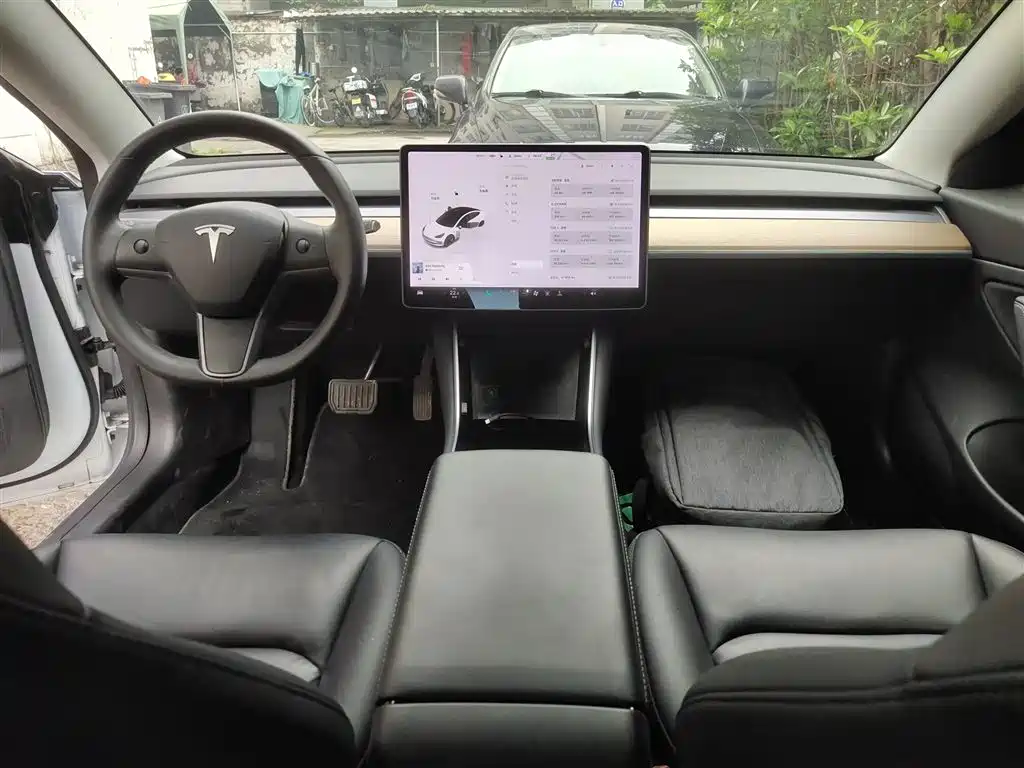 TESLA MODEL 3 (IMPORTED)