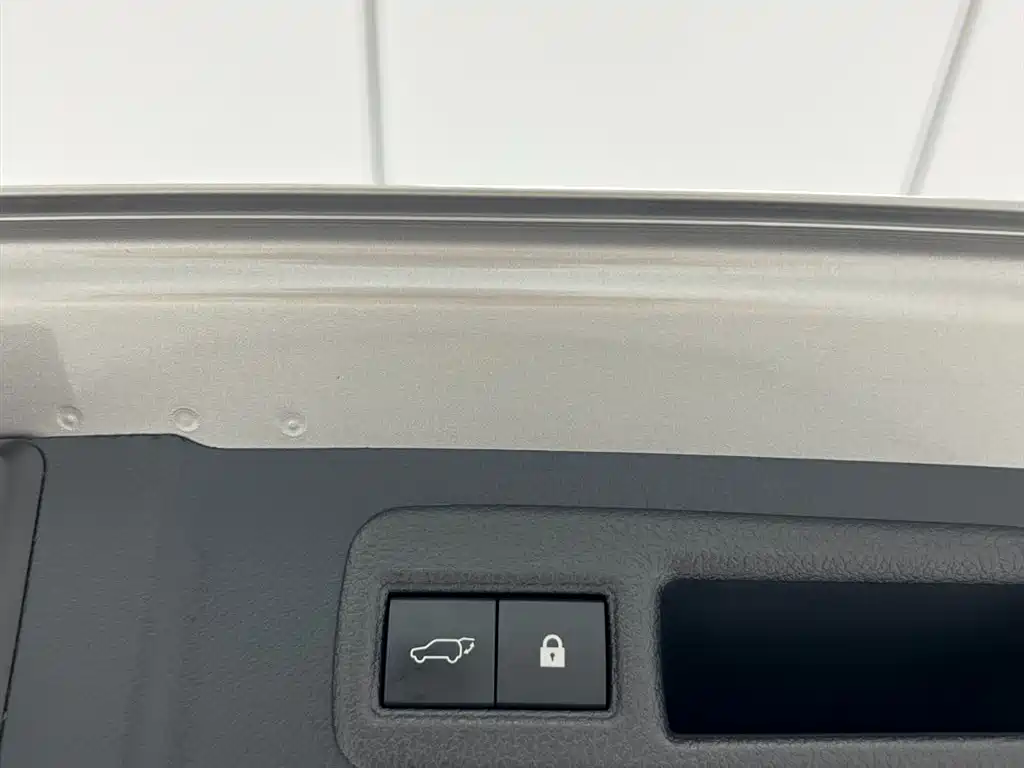 Lexus NX 2020 200 FWD Fengyi Edition China VI фото 19