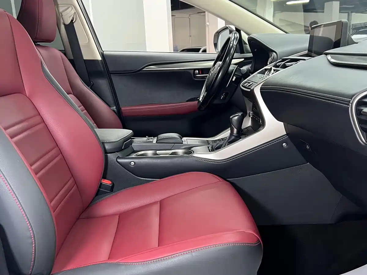 Lexus NX 2020 200 AWD F Sport China V фото 24