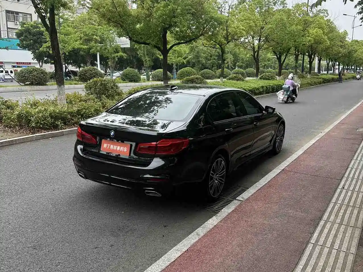 BMW 5 Series 2019 530Li Leading M Sport Package фото 9