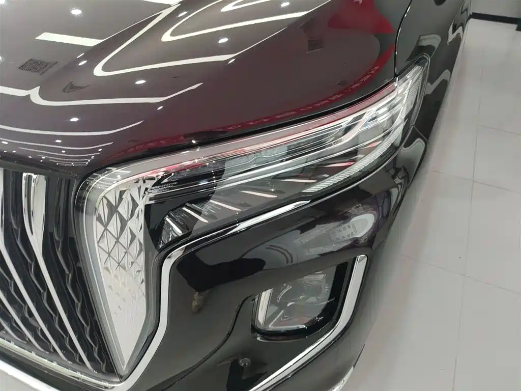 Hongqi HQ9 PHEV 2024 Model 2.0T AWD Luxury Edition фото 18
