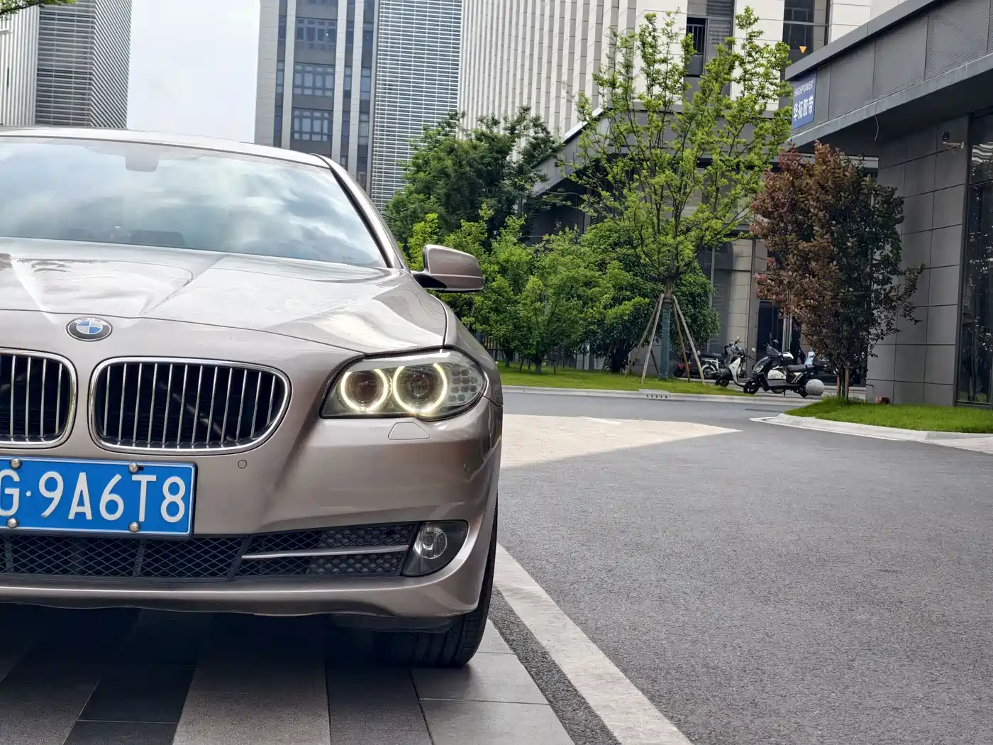BMW 5 Series 2013 520Li Elegance фото 6