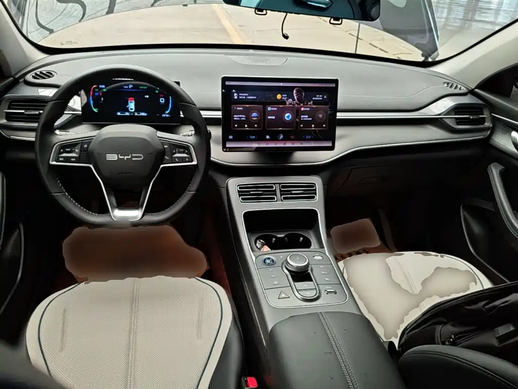 BYD Destroyer 05 2024 Glory Edition DM-i 55KM Luxury фото 10
