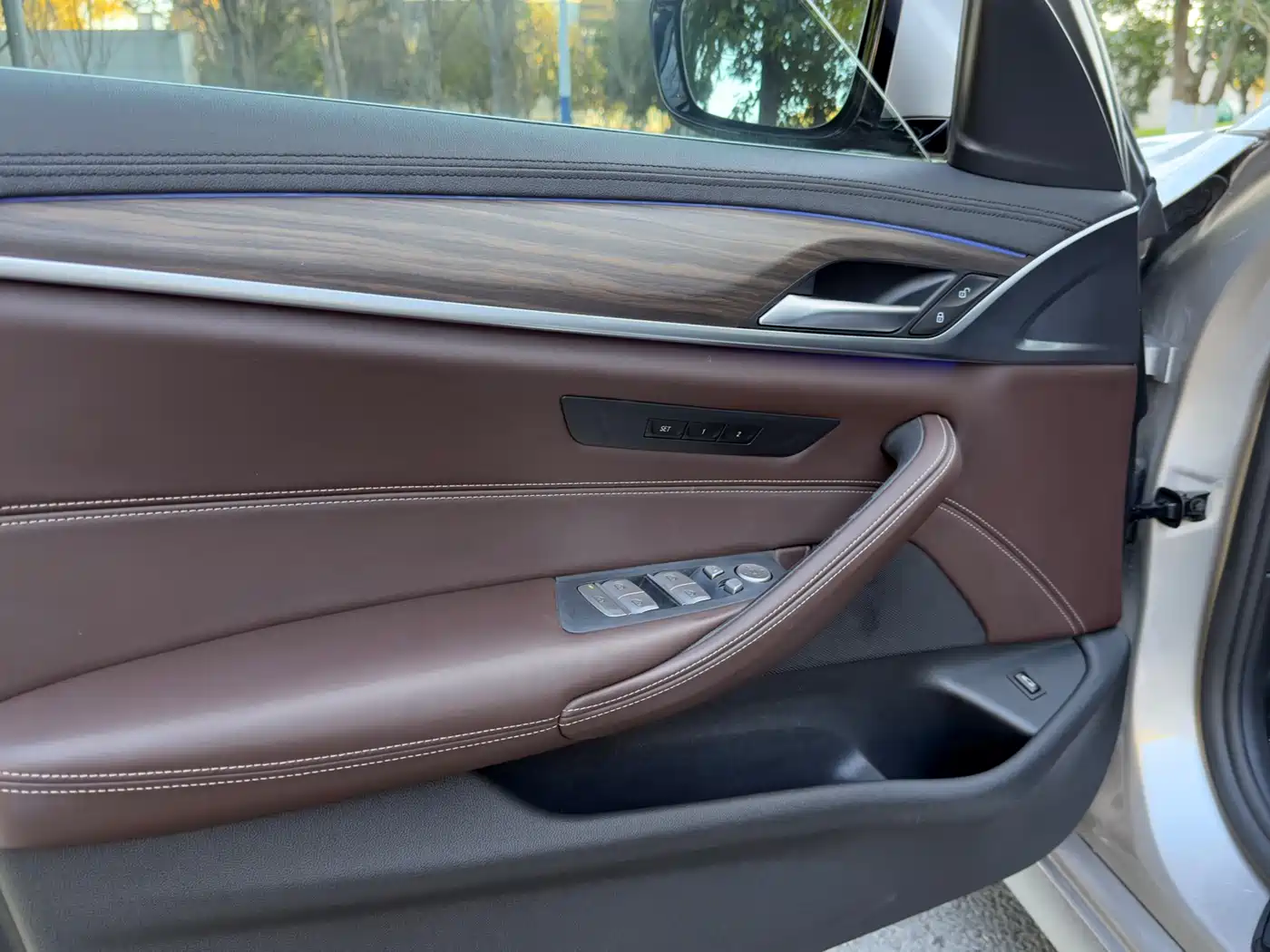 BMW 5 Series 2018 Facelift 530Li Leading Luxury Package фото 11