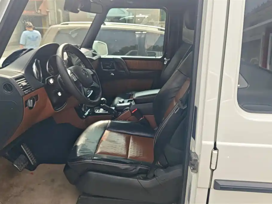 Mercedes-Benz G-Class 2017 G 500 фото 9