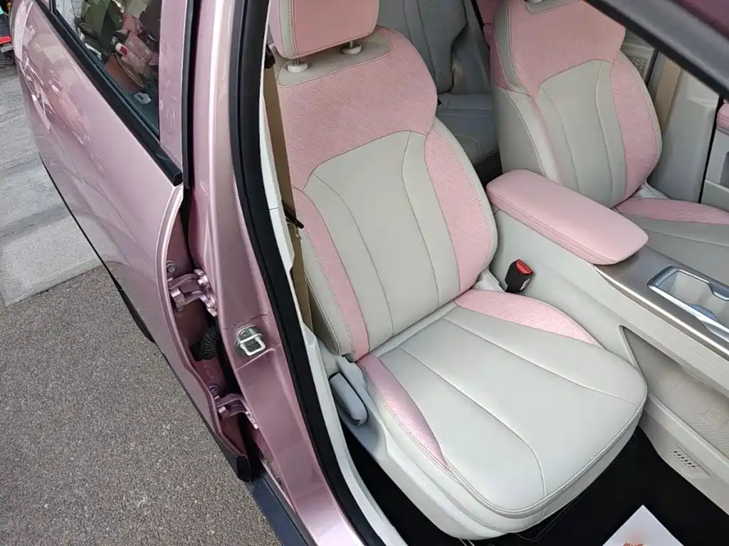 Фото 25 - Geely Geometry E Firefly