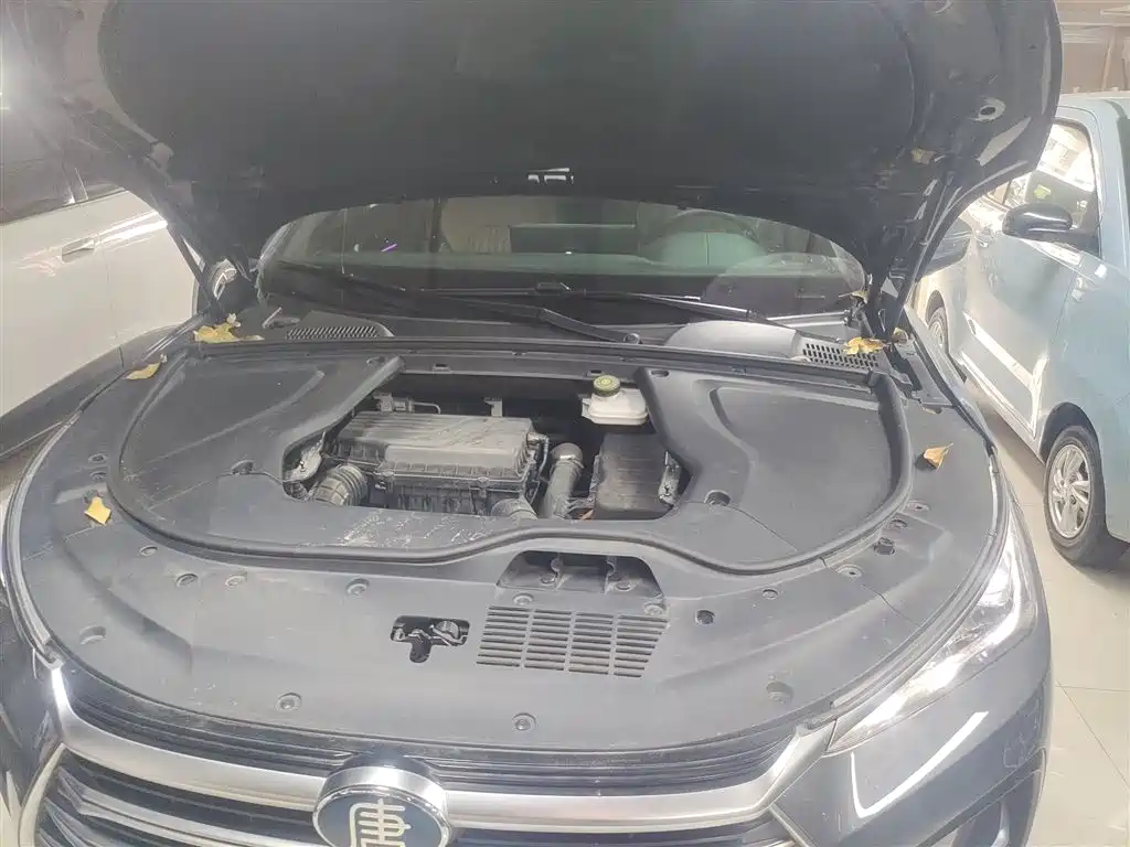 BYD Tang New Energy 2021 DM-i 112KM Premium фото 20