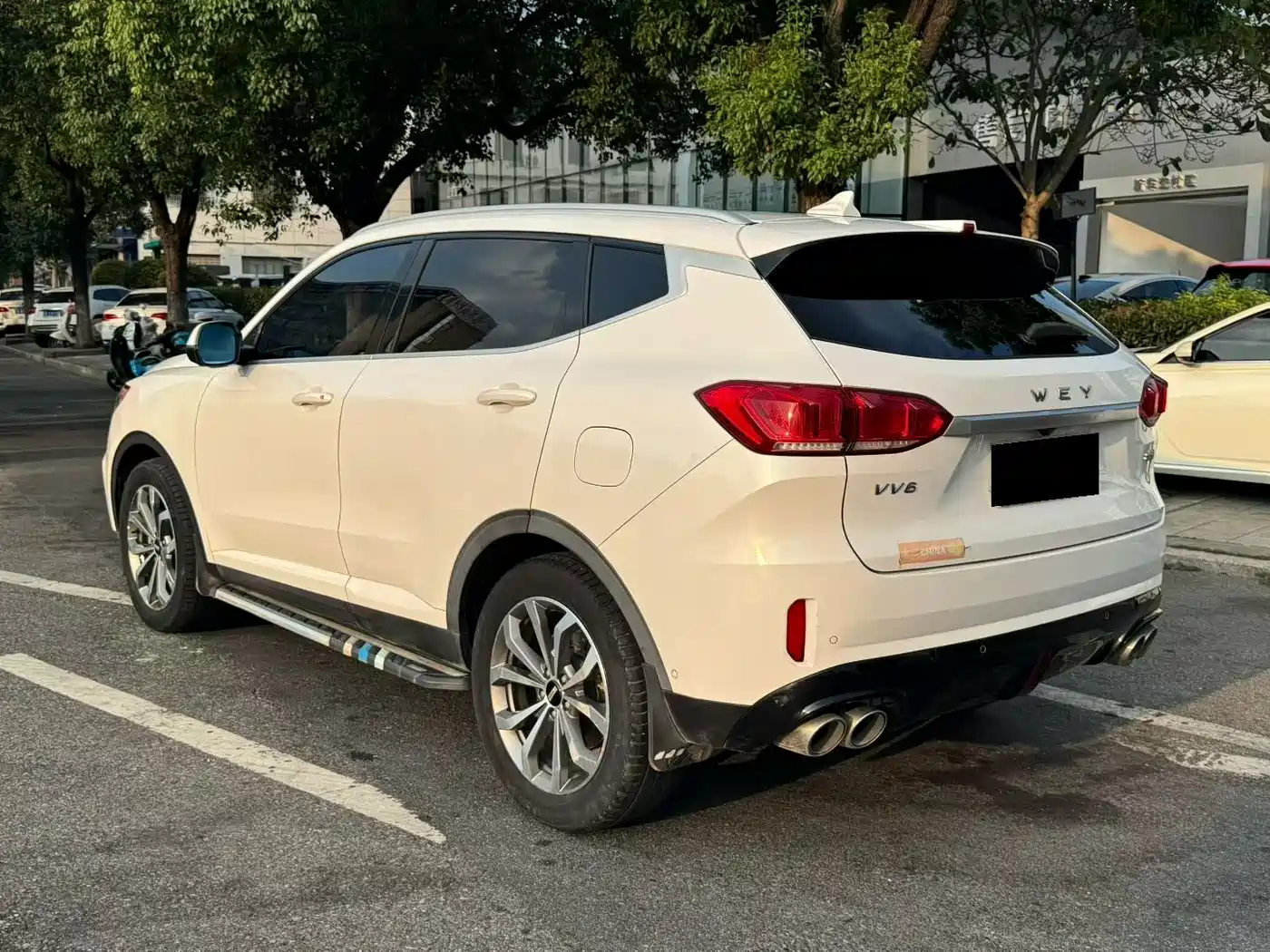 WEY VV6 2019 2018 2.0T 4WD Flagship China V