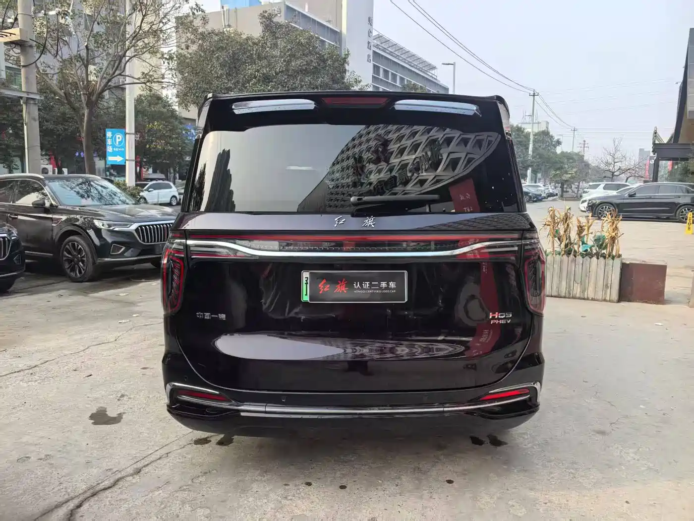 Hongqi HQ9 PHEV 2024 Model 2.0T AWD Business Edition фото 4